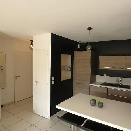 Quiet Garden - 10 Minutes To Geneva Ornex